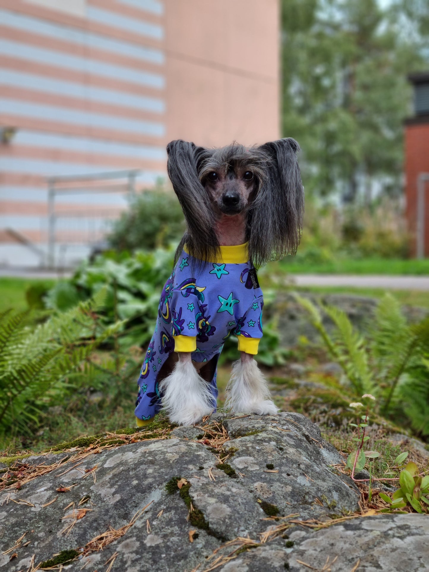 BORN TO SPARKLE, lila, trikoohaalari