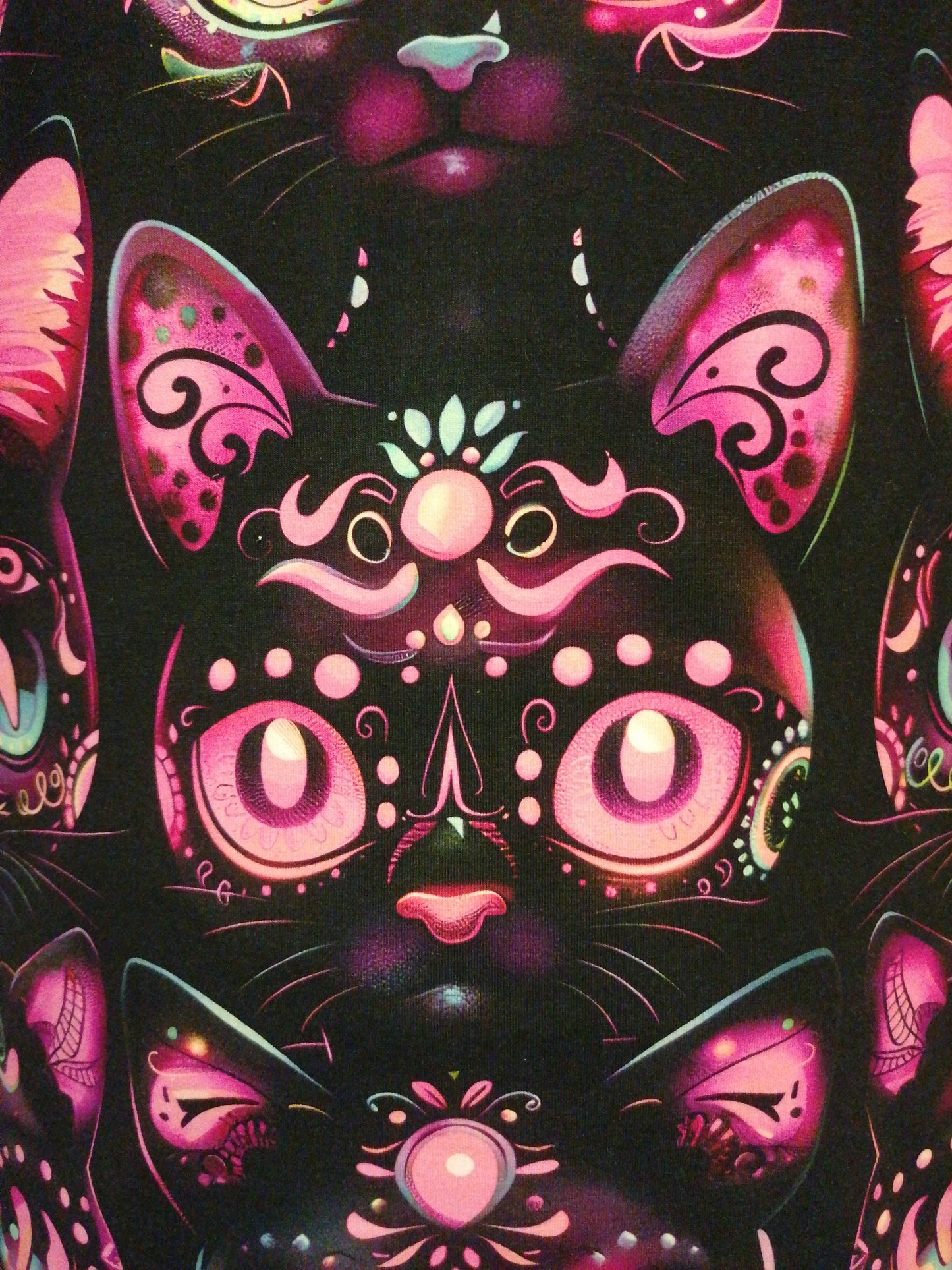 SUGAR CATS trikoo