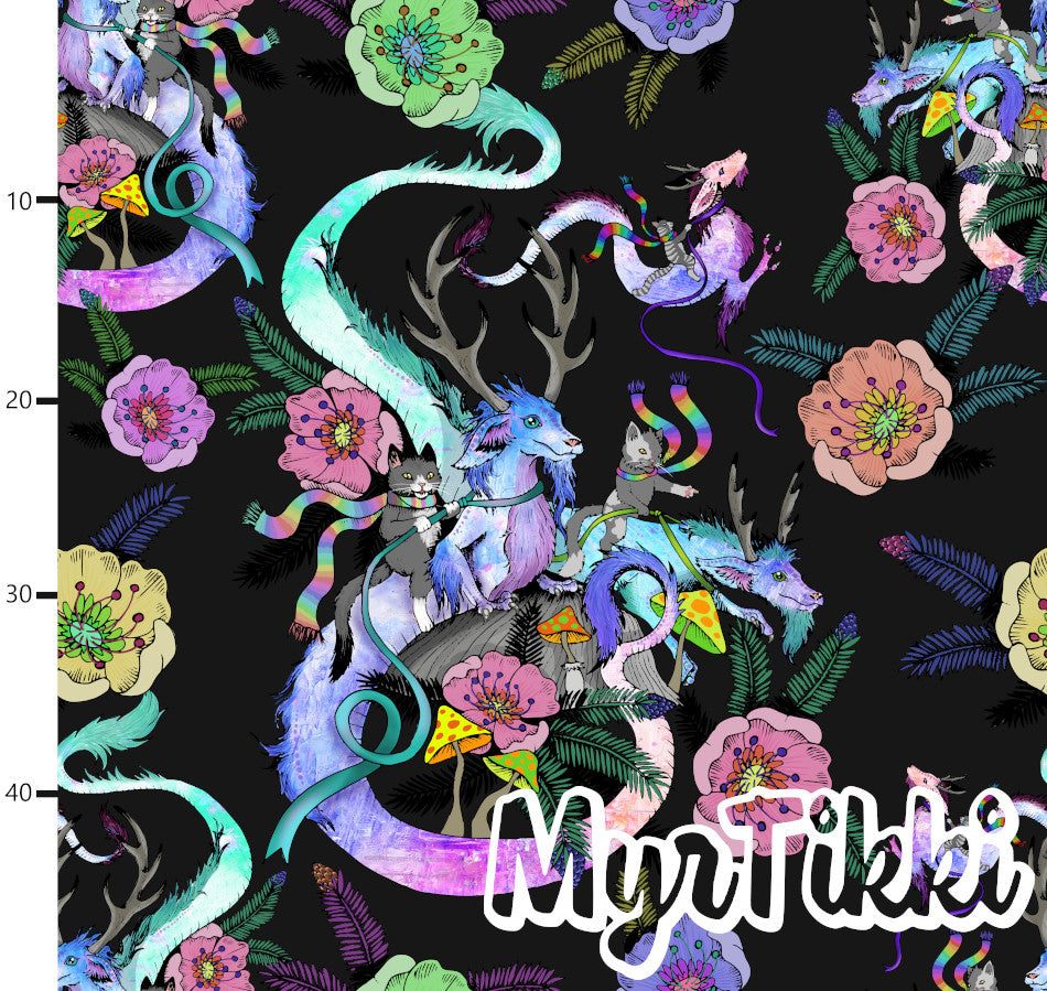 DRAGONRIDERS, joustocollege