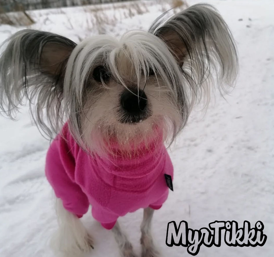 IHAN VAAN PINKKI fleecehaalari